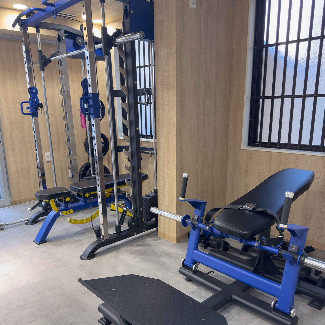 gym3